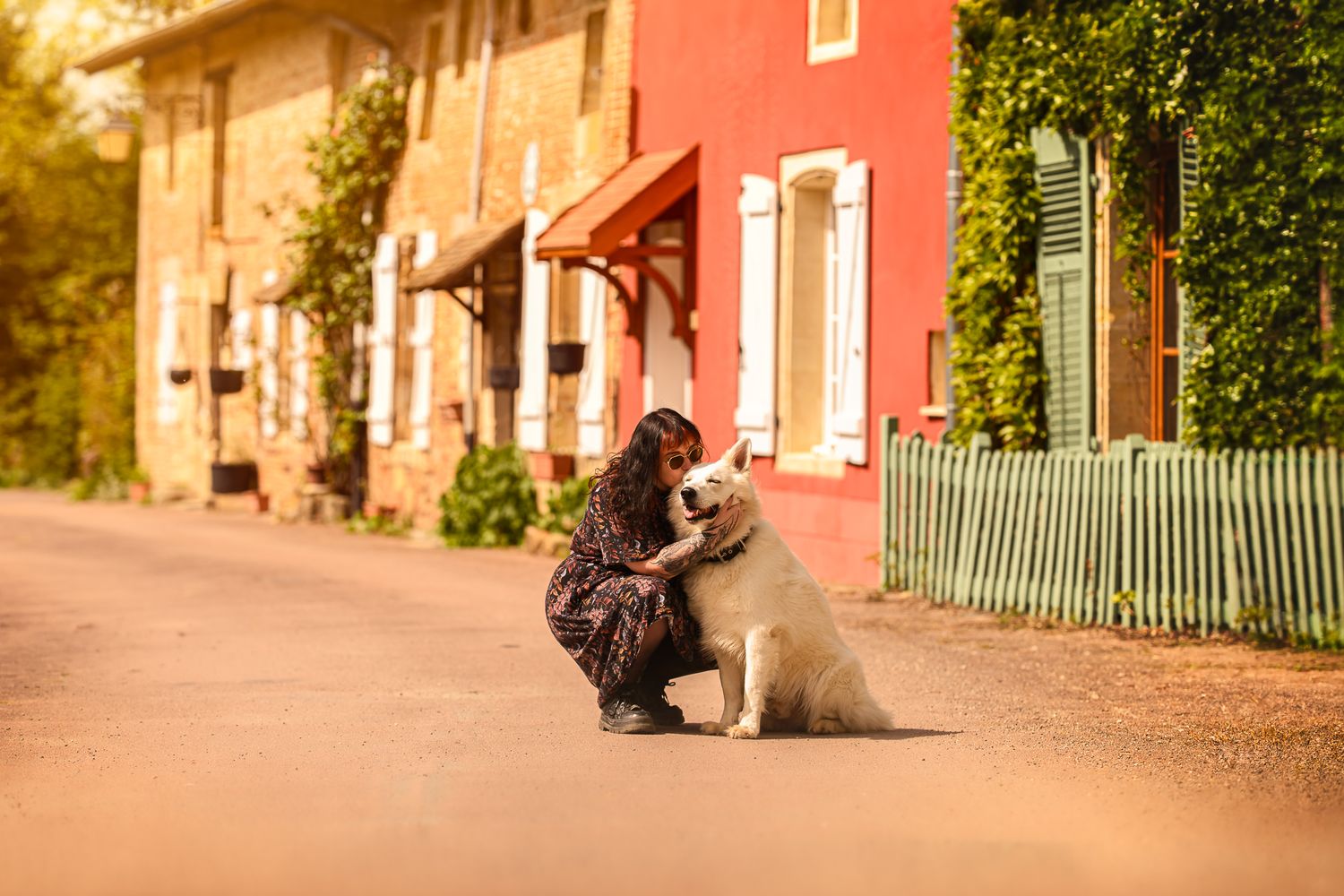 Séance photo d'un chien et son maître en Meuse dans un champs de tournesol