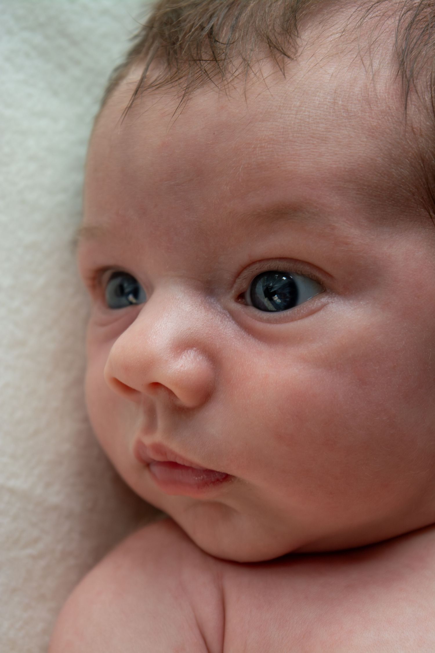Newborn session - LSM Photography