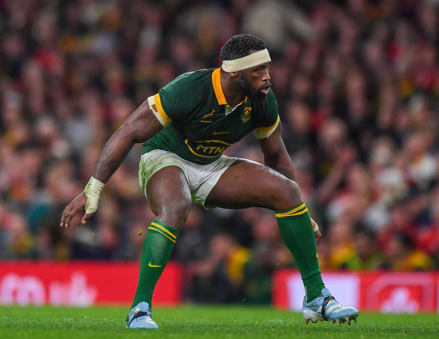 Rugby player in green South African Springboks uniform crouches in ready position during match.