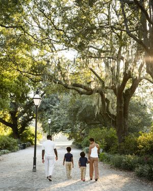 A group of people walk along a sandy path beneath Spanish moss draped trees at sunset.