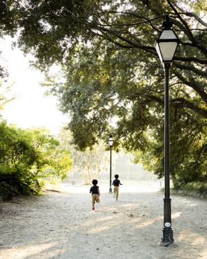 People walking along a tree-lined path with vintage lampposts on a sunny day.