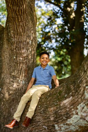 A cheerful youth in blue polo and khakis sits casually on a large tree branch.