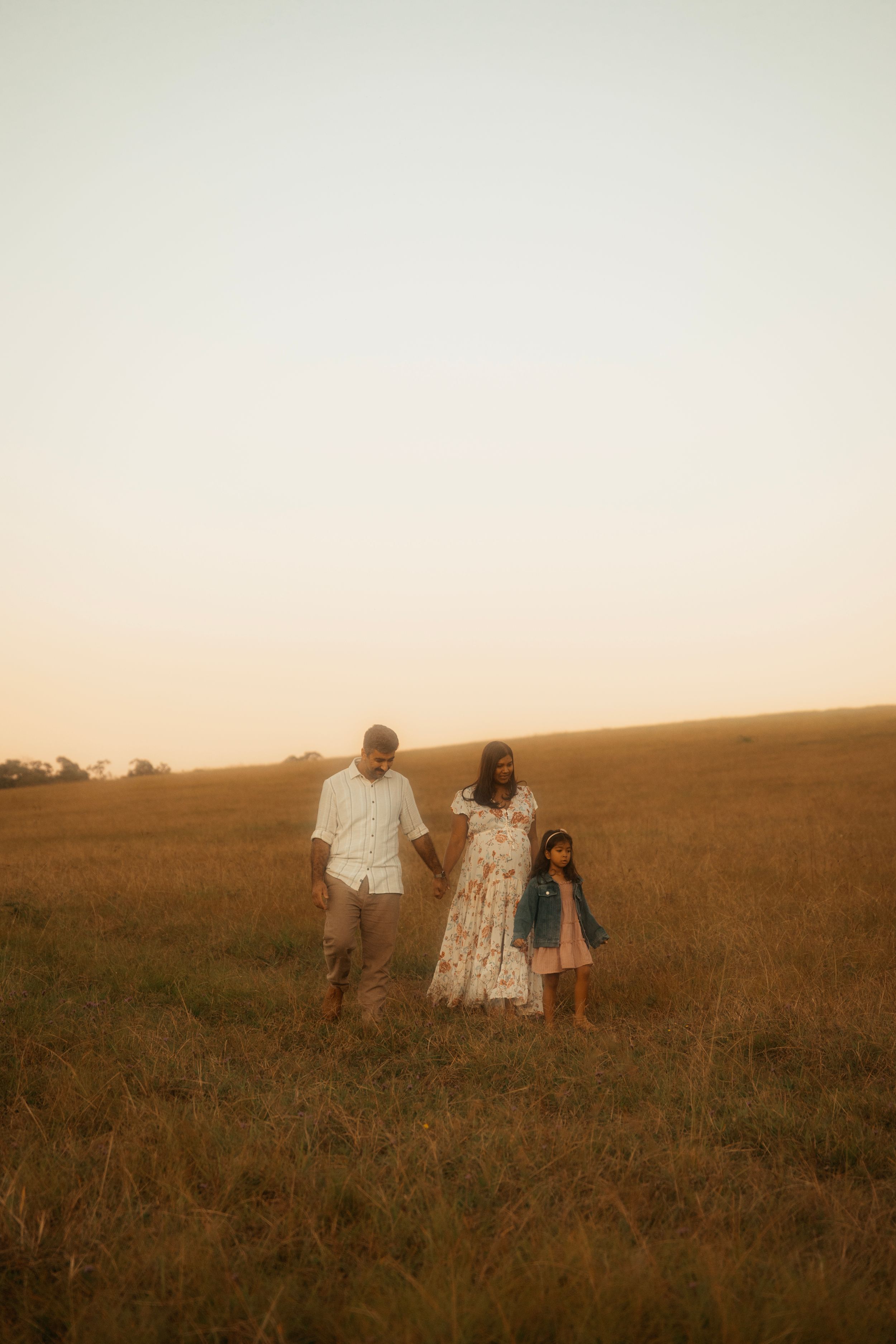 A family holds hands while walking together through a golden field at sunset.