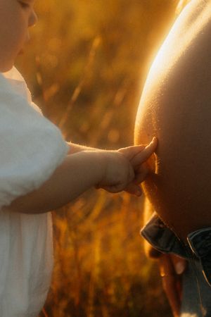 A small child's hand reaches out to touch a horse in warm golden sunlight during sunset.