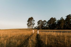 Two figures walk down a path through sun-lit golden fields with eucalyptus trees in the distance.