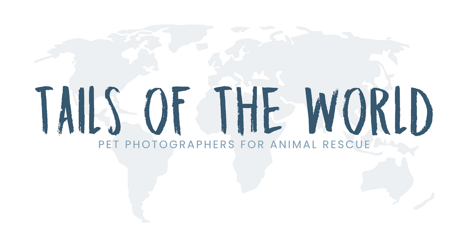 Blue text logo reading Tails of the World with world map silhouette in background.