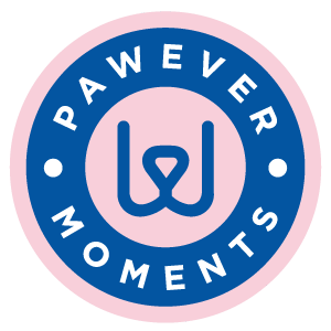 Pawever Moments Studio Pet photography DC