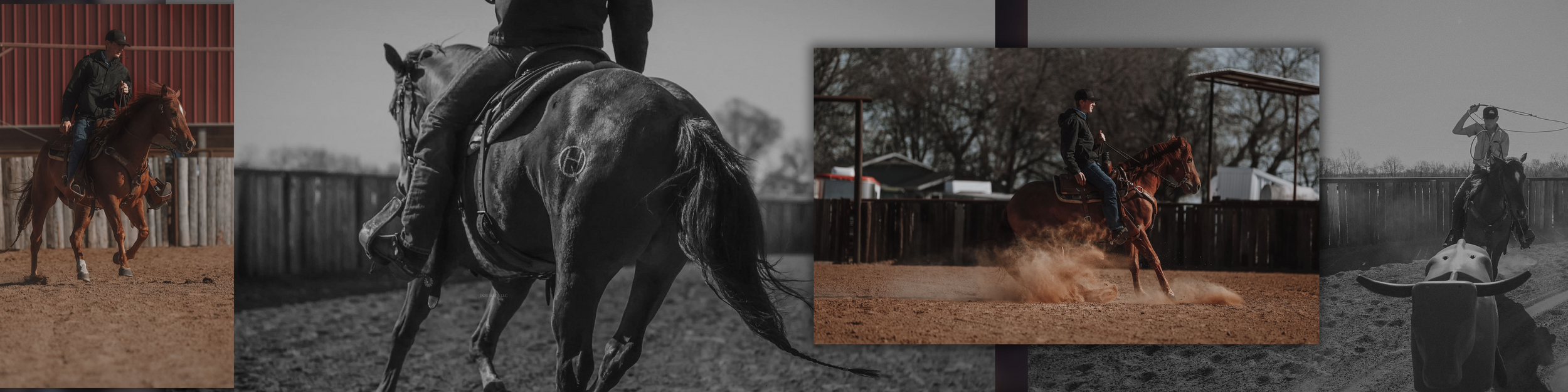 LUKE JONES PERFORMANCE HORSES