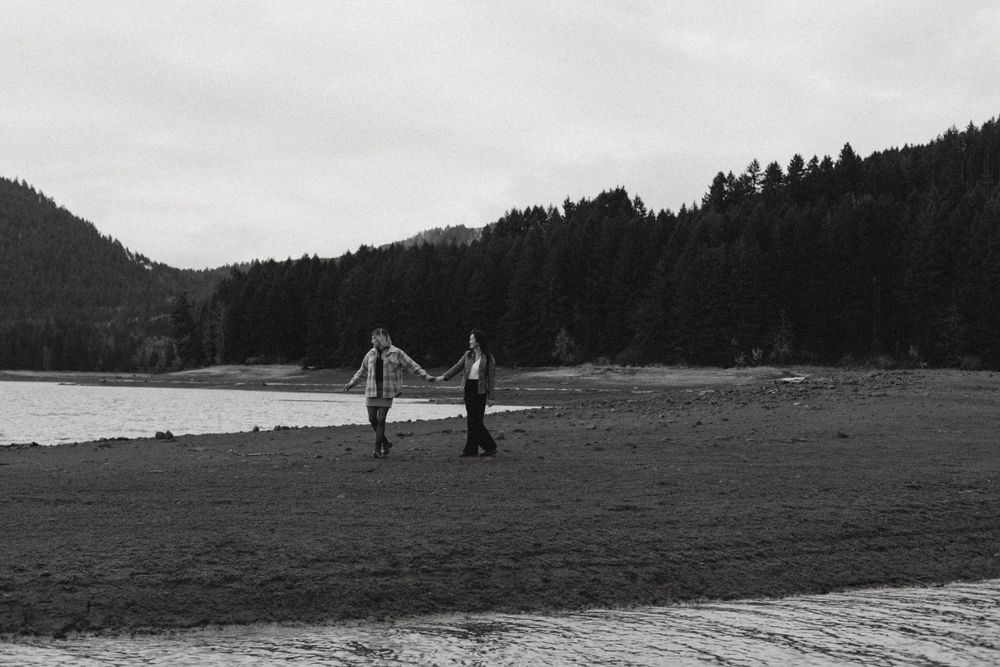 Distant figures walk along a misty shoreline with evergreen forest in background.