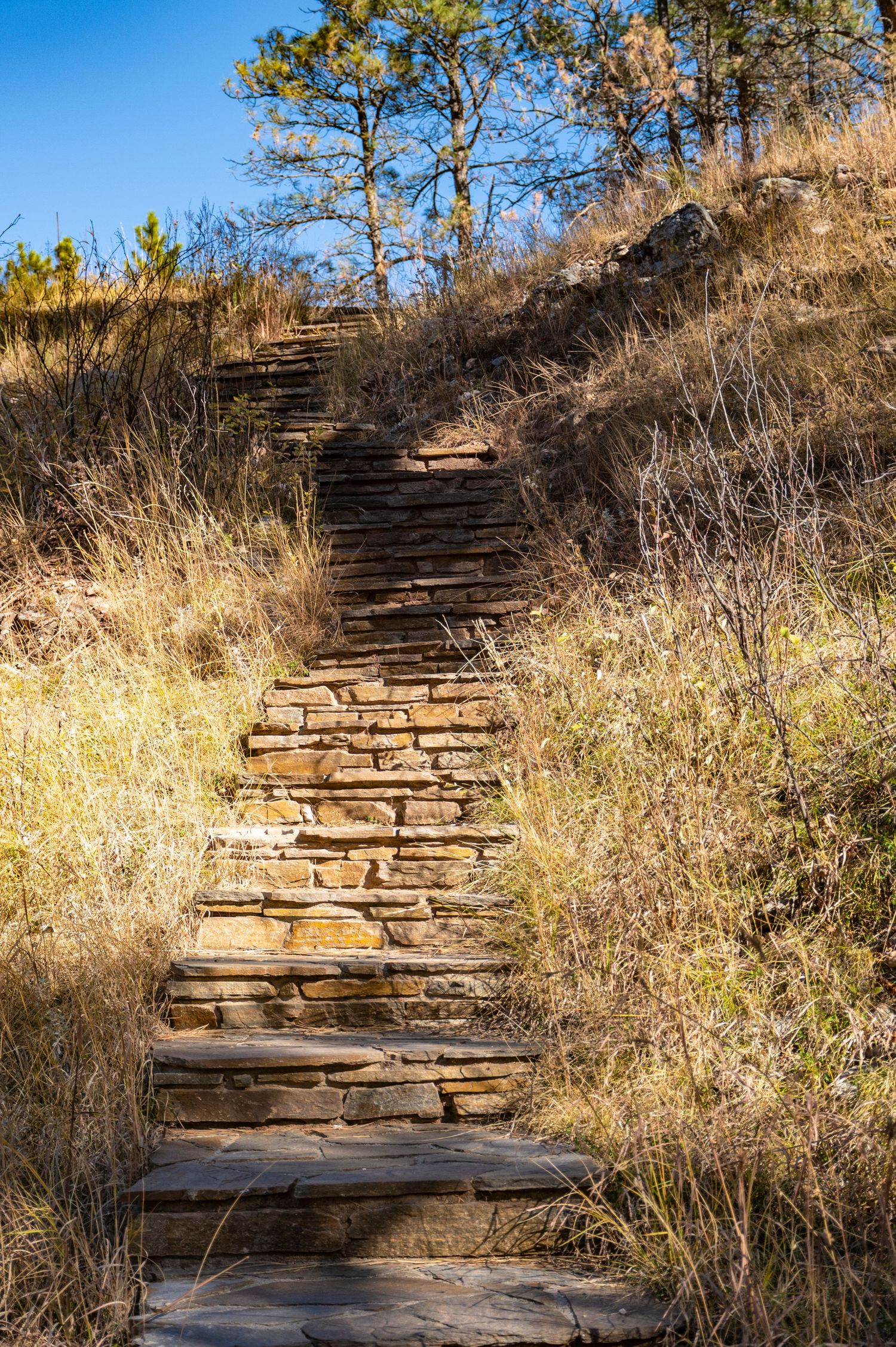 Stone steps climb a steep hillside through dry grass and natural terrain.