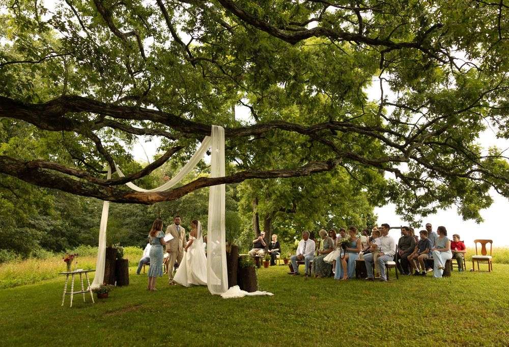 Guests gather for an outdoor summer wedding celebration under tall shady trees in a lush green park setting.