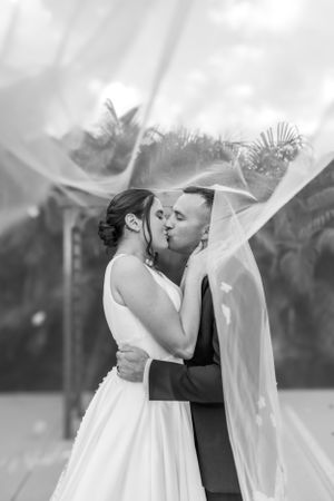 Black and white photo of a romantic wedding kiss with bride's veil flowing in the breeze and palm trees in background.
