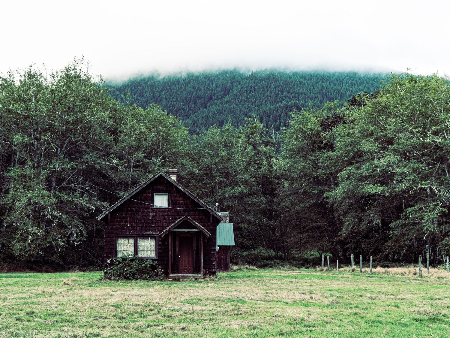 Rustic wooden cabin nestled in foggy forest with mountains in background.