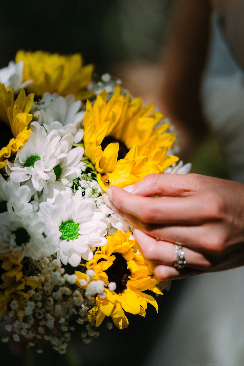 Delicate hands holding a wedding bouquet of bright sunflowers and white daisies.