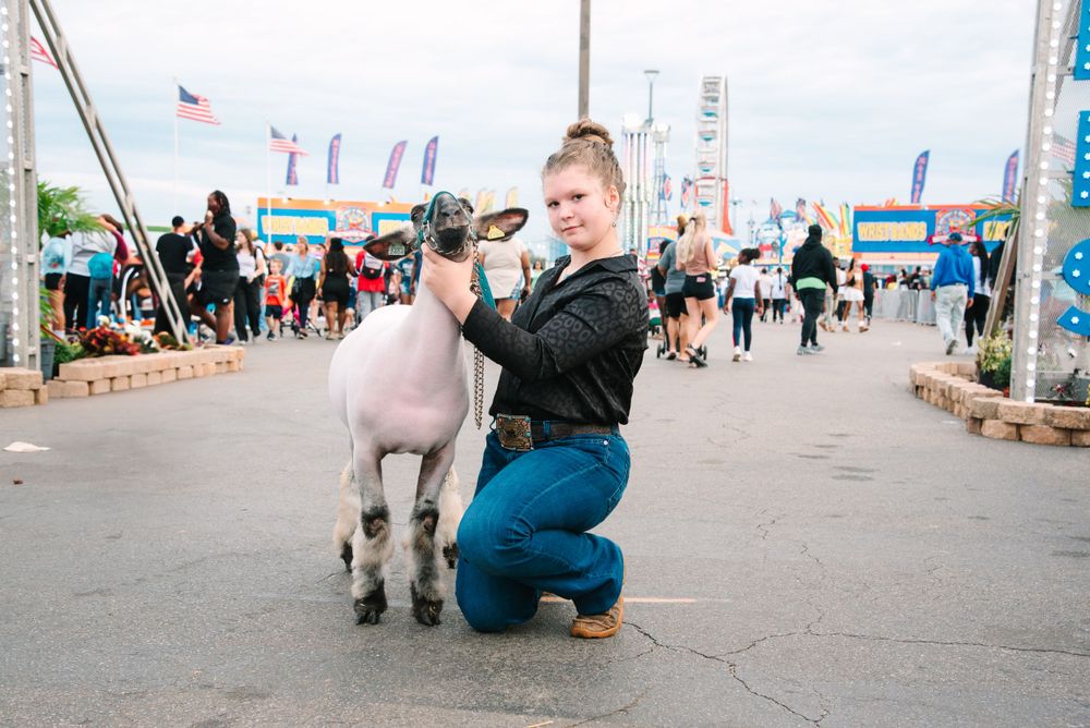 Livestock Photography; Georgia National Fair