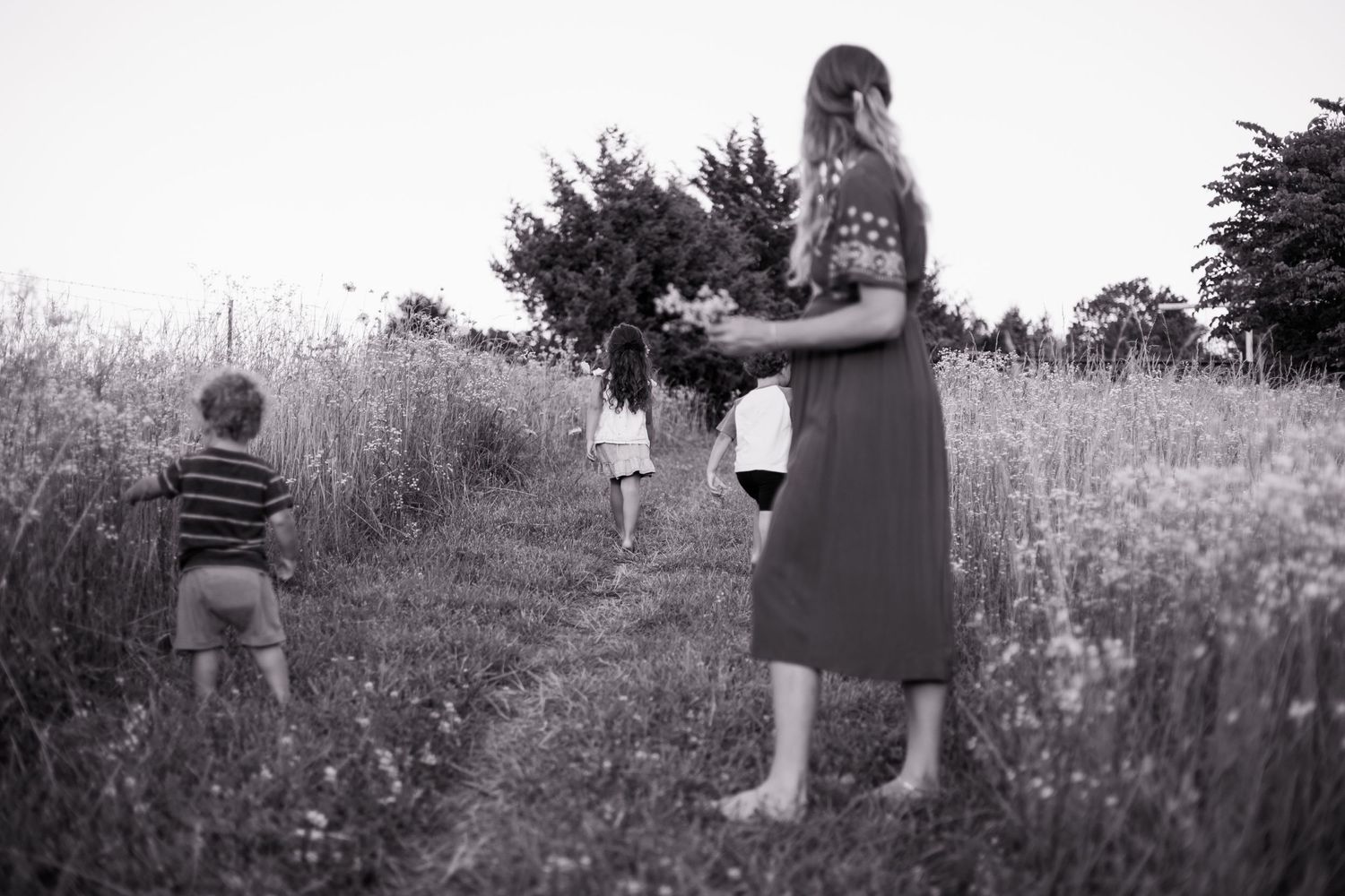 springfield mo maternity photographer, field of daisies maternity shoot