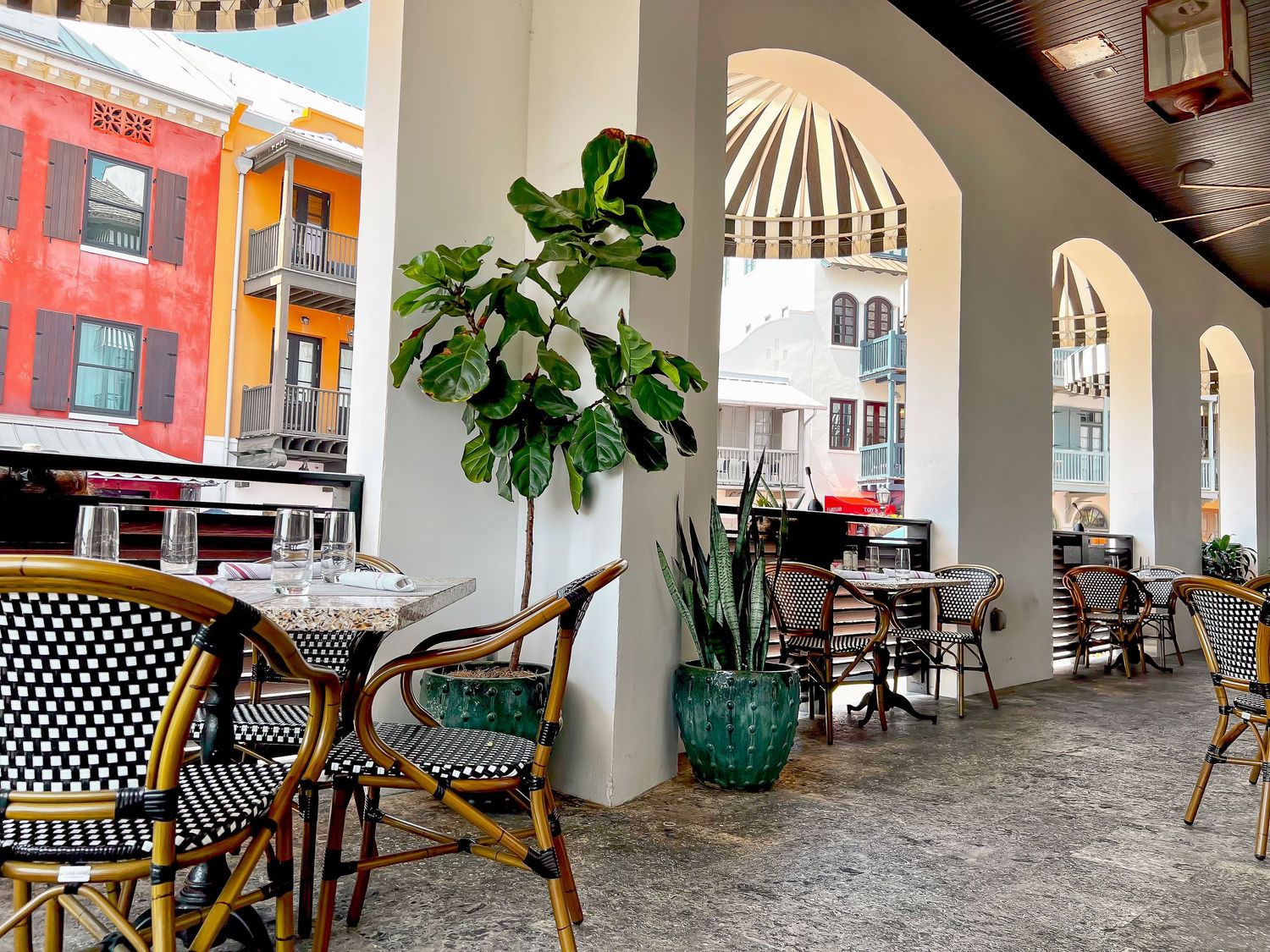Outdoor cafe terrace with bistro tables and chairs under arched columns showcasing a large potted fiddle leaf fig plant.