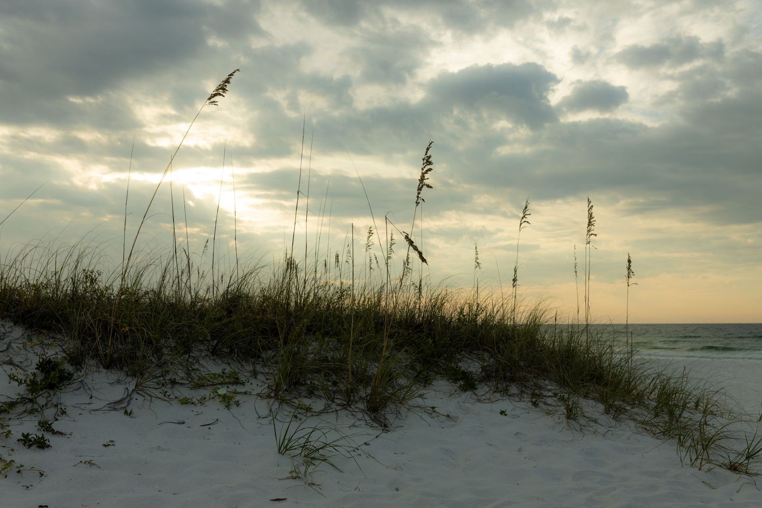 Sea oats silhouetted against dramatic sunset sky over white sand dunes.