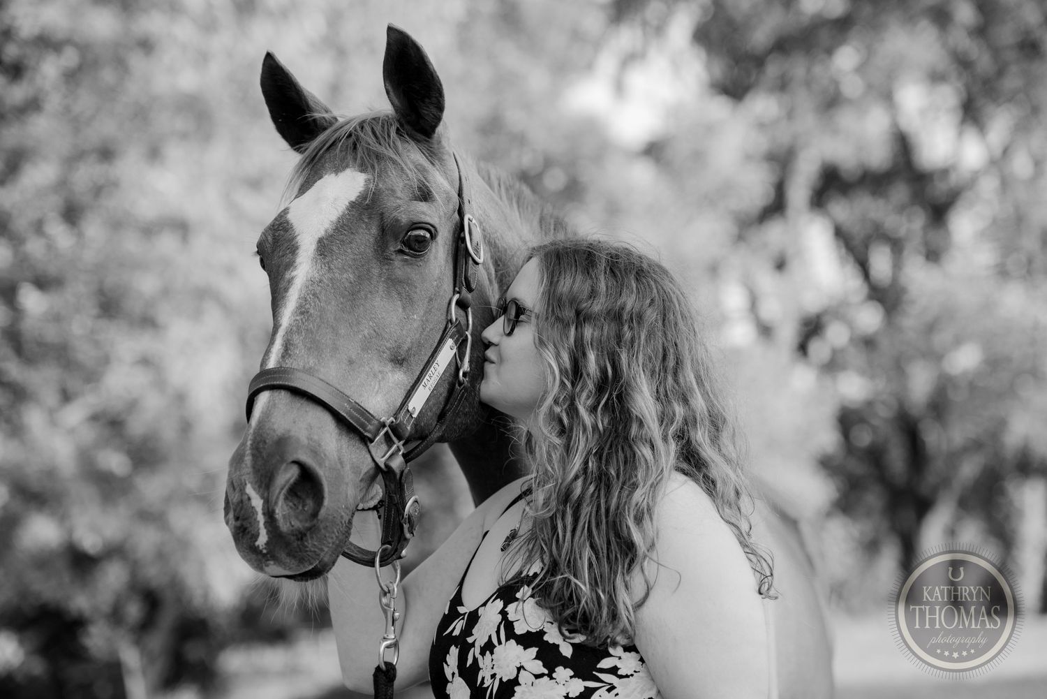 A close-up black and white portrait of a horse wearing a halter.