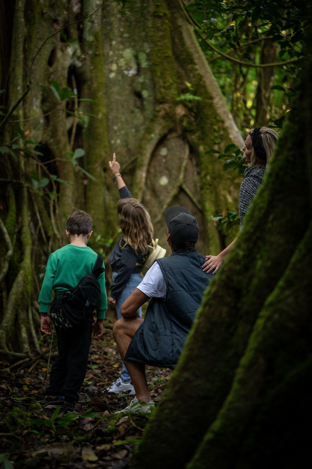 Group of people pointing upward while exploring a lush forest trail.