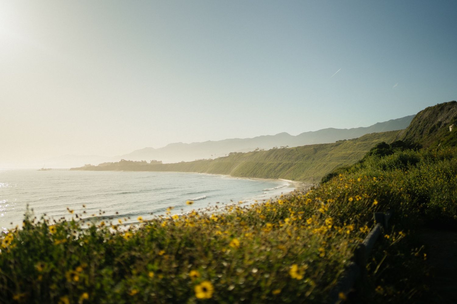 Coastal landscape with yellow wildflowers overlooking ocean waves and distant mountains at sunset.