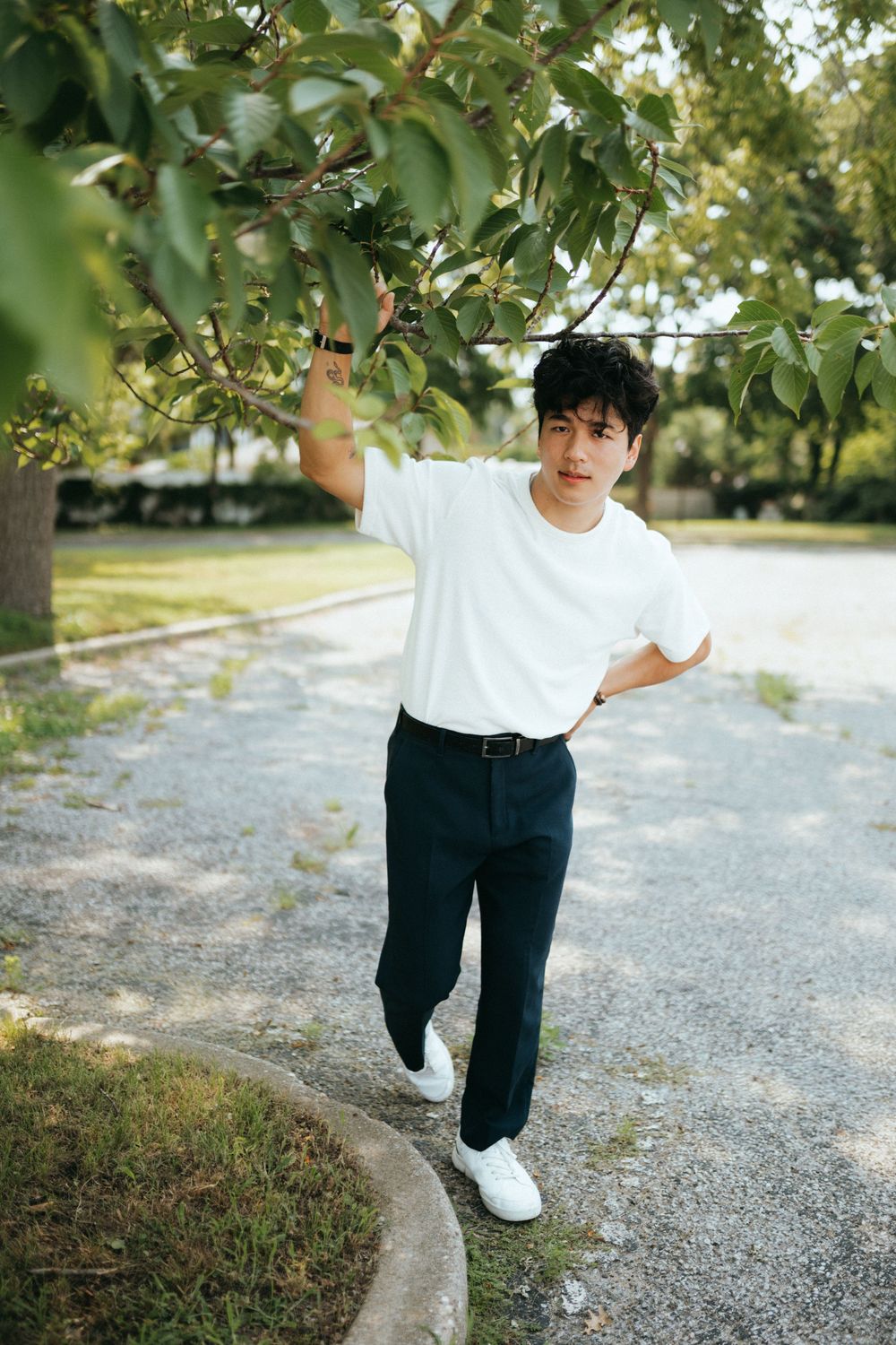 Young man in a white t-shirt and dark trousers reaches up to a leafy tree branch while standing on a gravel path in a sunlit park.