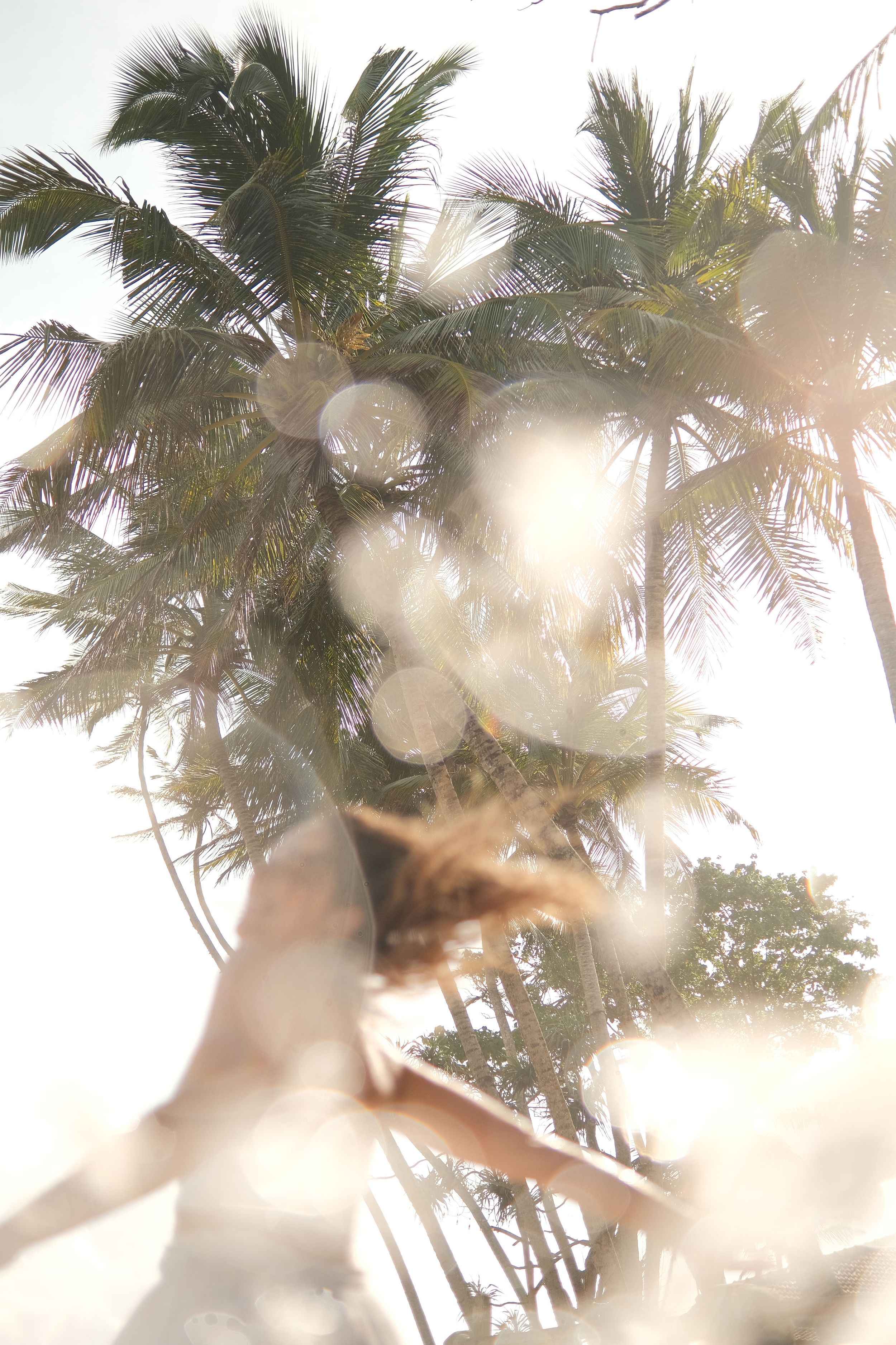 bokeh sunlight and water palm trees Sri lanka