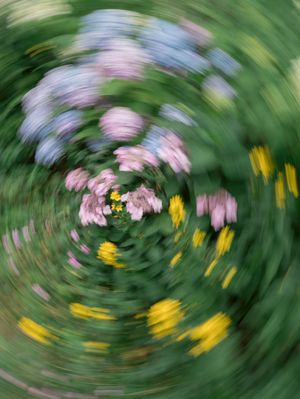 floral art showcasing a fibonacci spiral photographed by life by jude photography / judith sumner