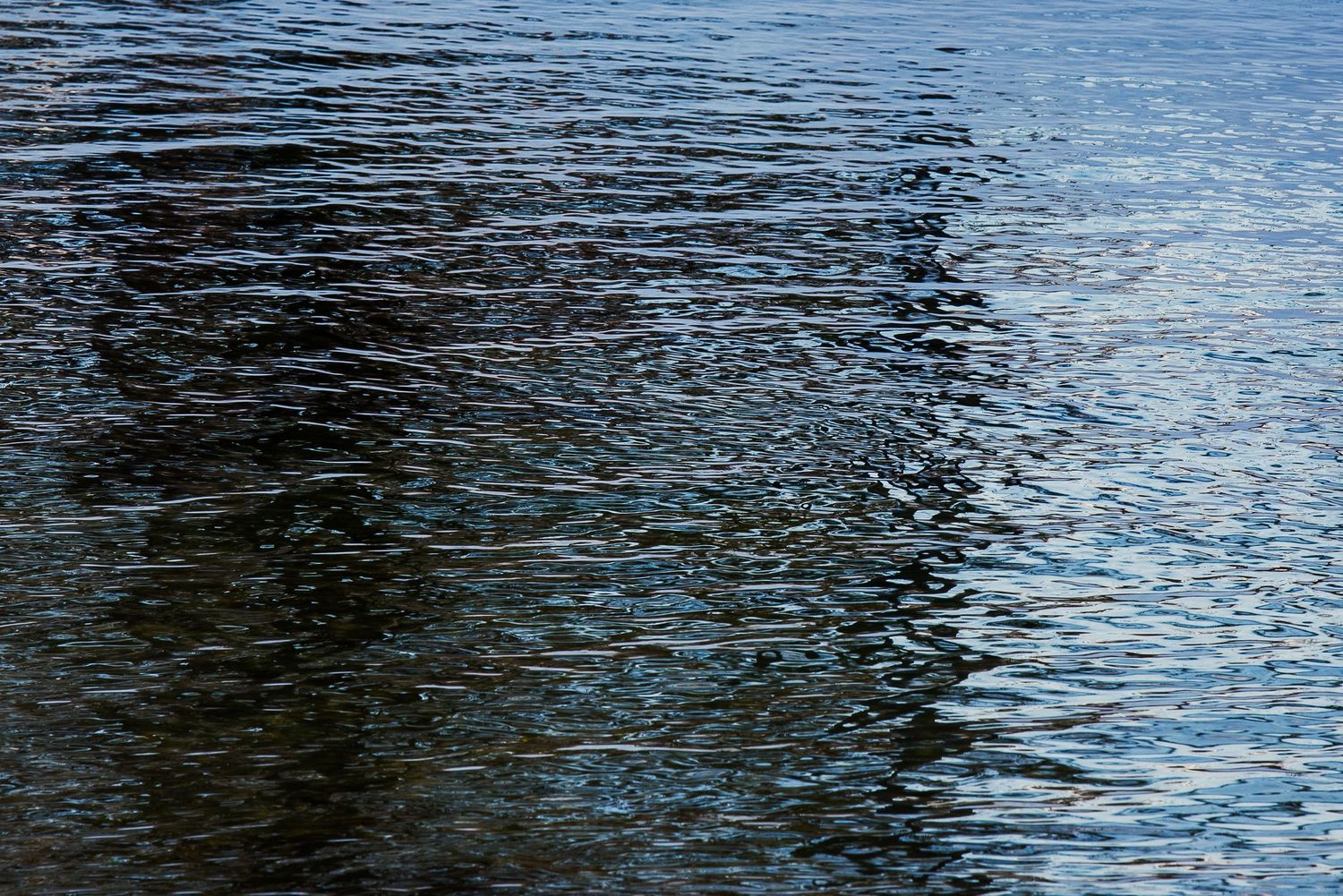 Rippling dark blue water surface with wave patterns creating abstract reflective textures.