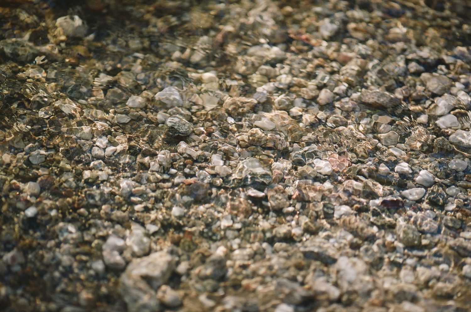 Close-up texture of small pebbles and gravel on ground surface.
