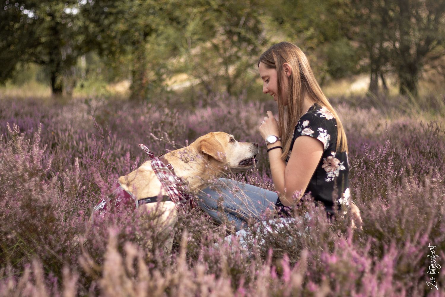 Hondenfotografie Zoefotografeert