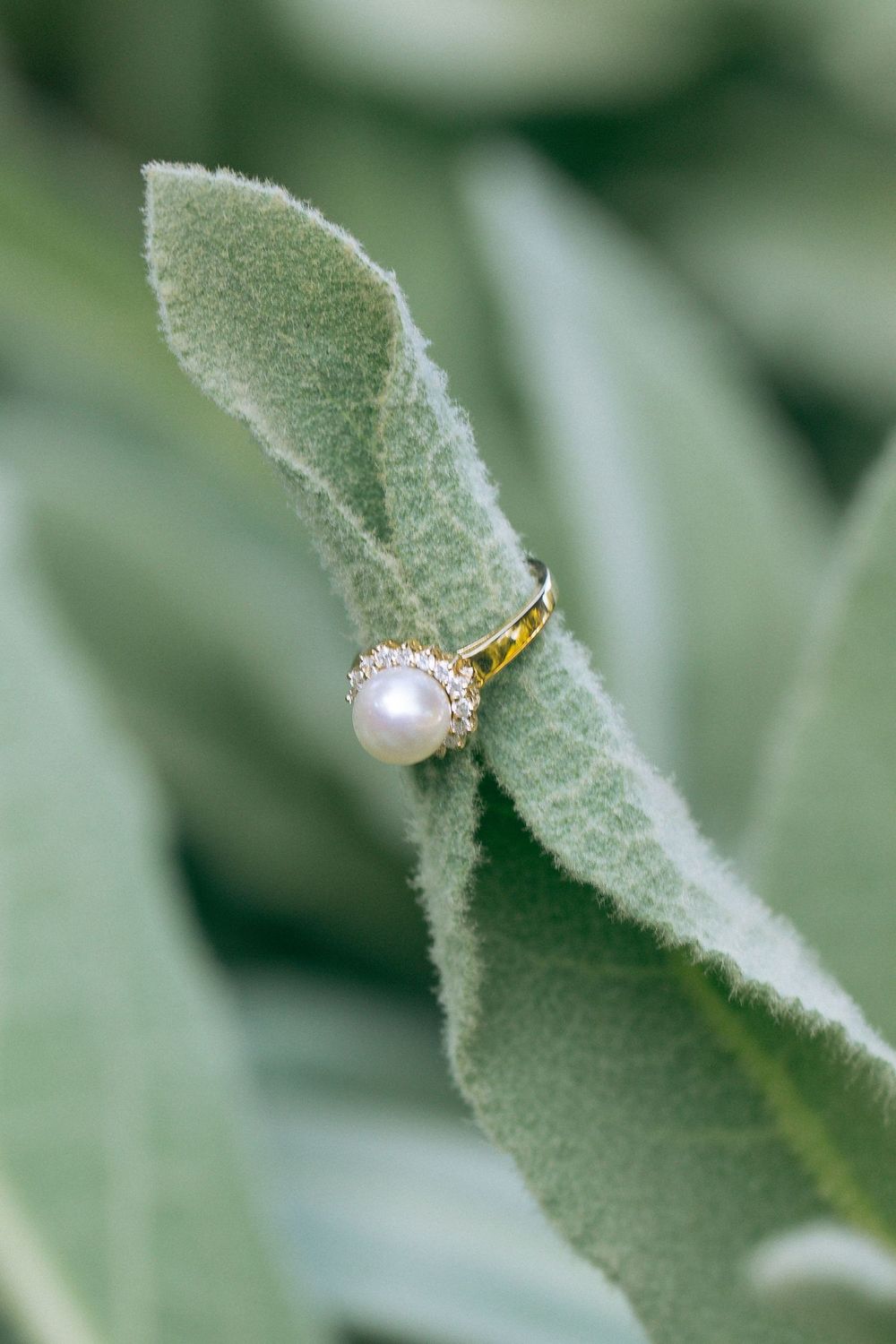 A delicate pearl ring with gold band perched on a soft sage green leaf with fuzzy texture.
