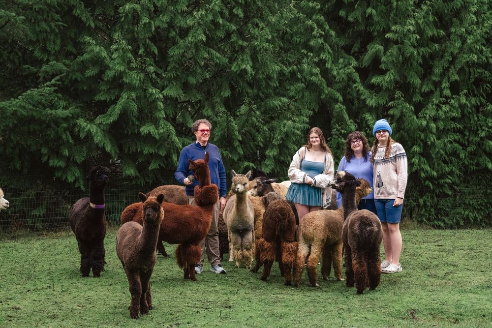 Family of four surrounded by the alpaca herd in green pasture at Enchanted Farms in Duvall, WA.