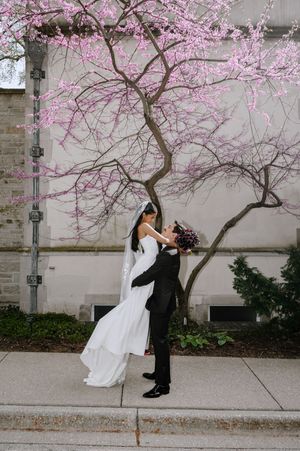 Bride and groom embrace under a blooming pink cherry blossom tree in spring, bride in white gown with veil.