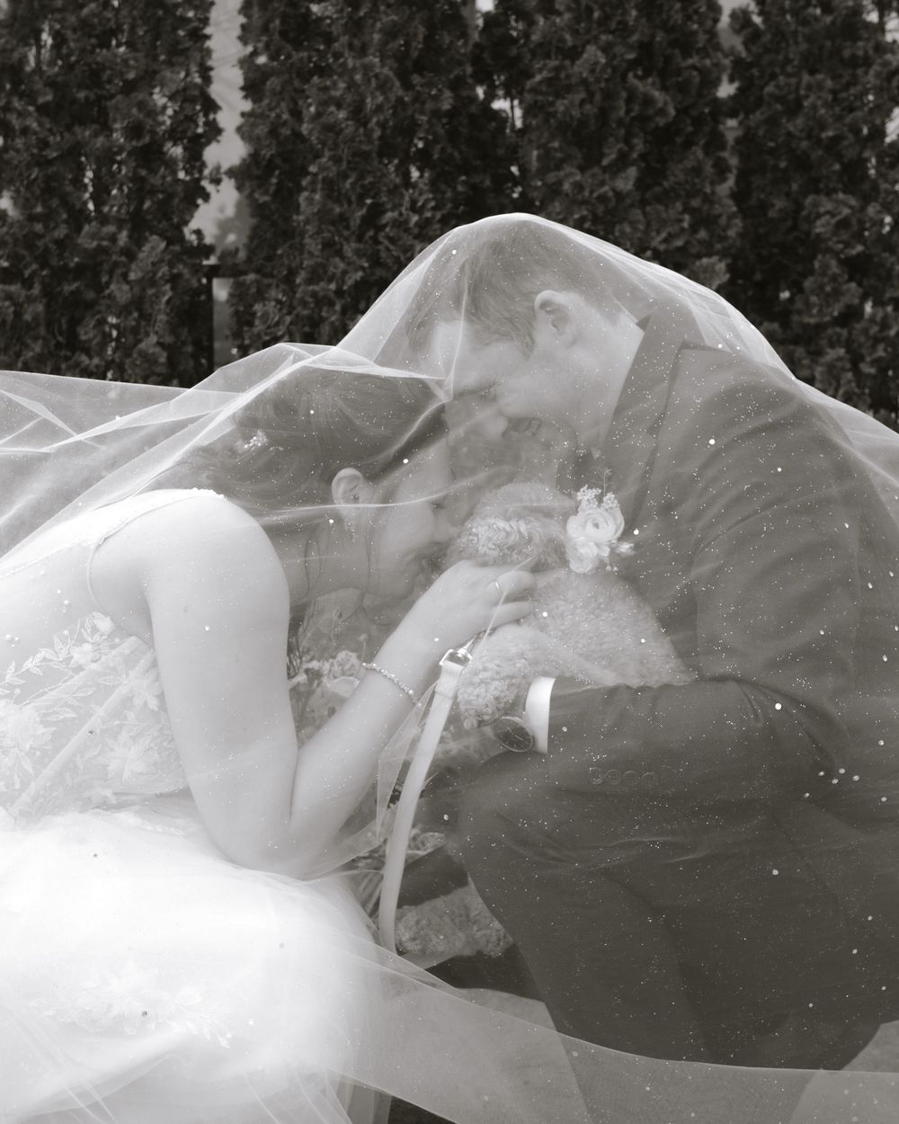 Black and white wedding photo of bride and groom kissing under a flowing veil outdoors.
