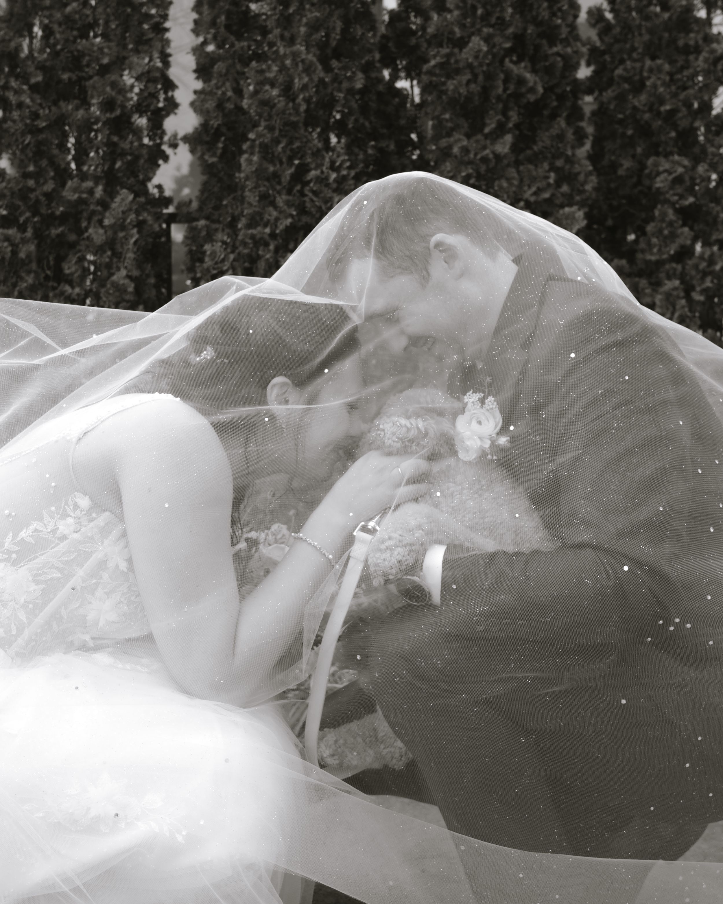 Black and white wedding photo of bride and groom kissing under a flowing veil outdoors.