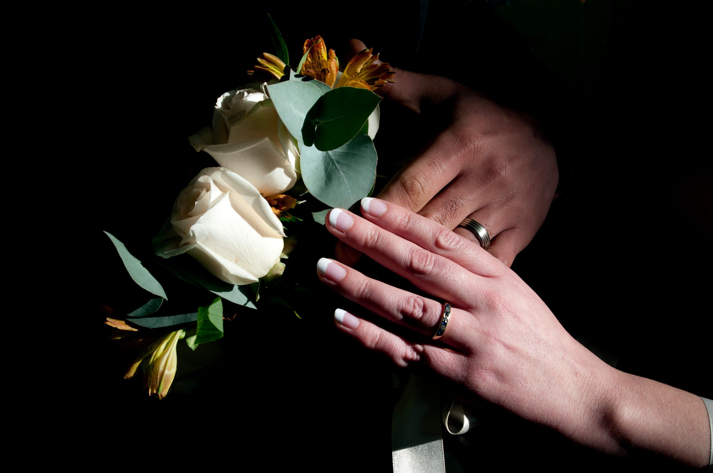 detail shot of wedding rings