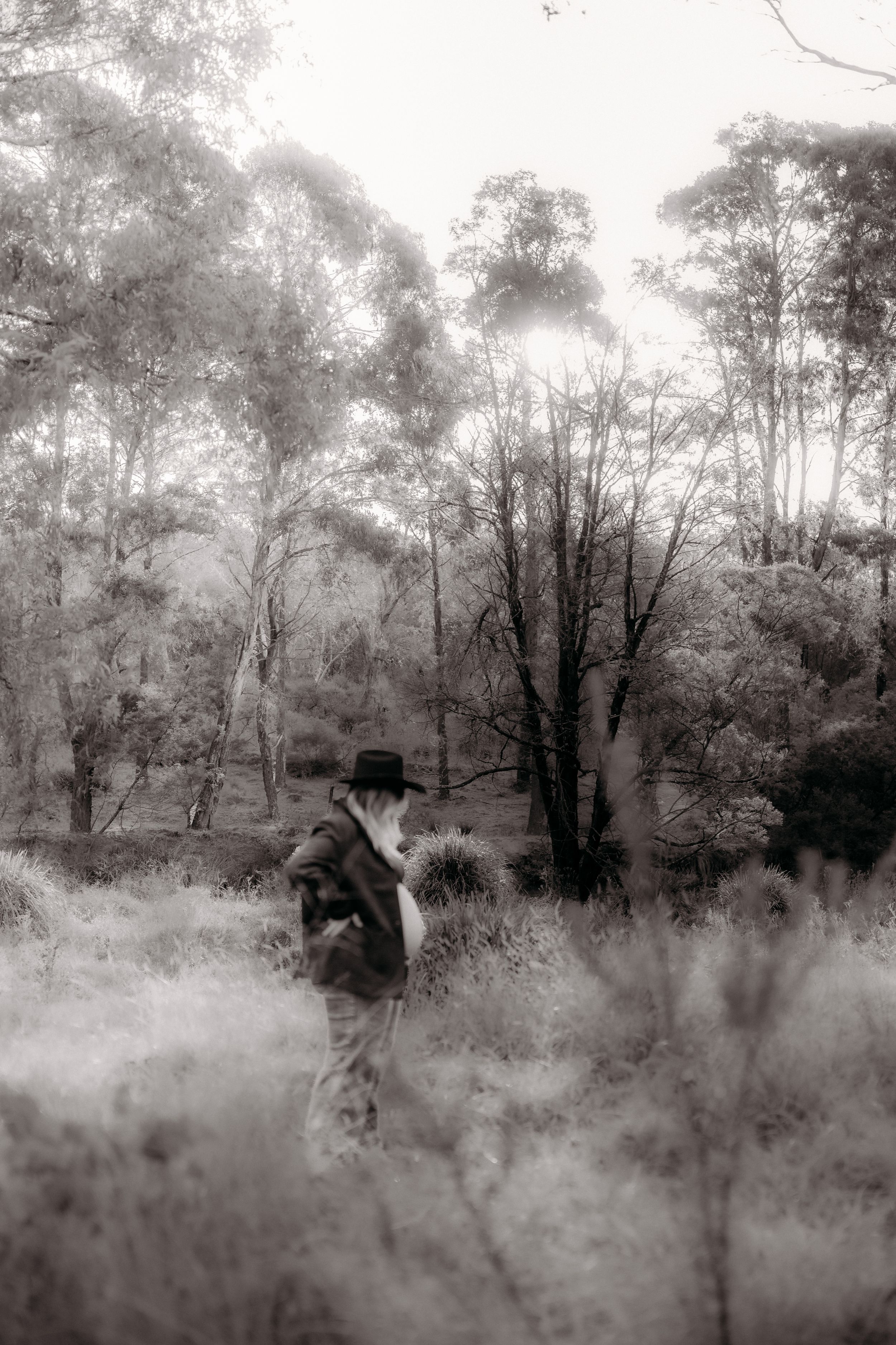 Golden hour maternity photography. Black & white. Rural Bathurst location.