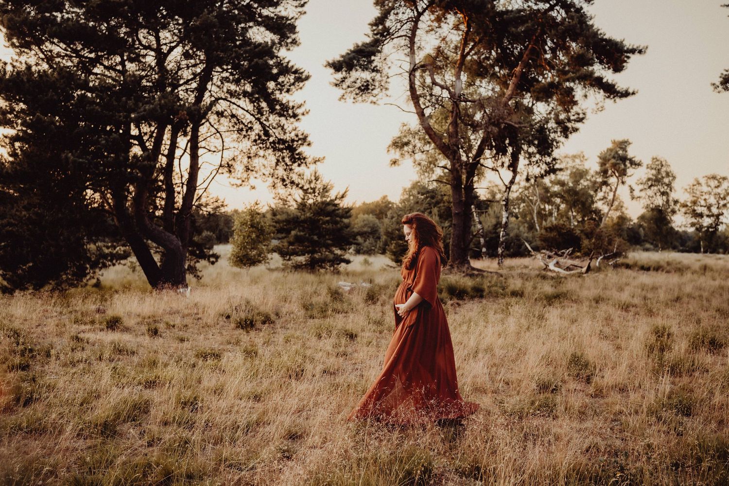 A flowing red dress captured in a golden field during sunset with tall pine trees in the background.