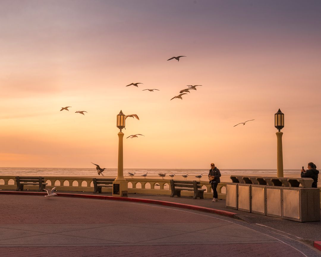 Seagulls soar over a coastal pier at sunset with ornate lampposts and people silhouetted against a golden sky.