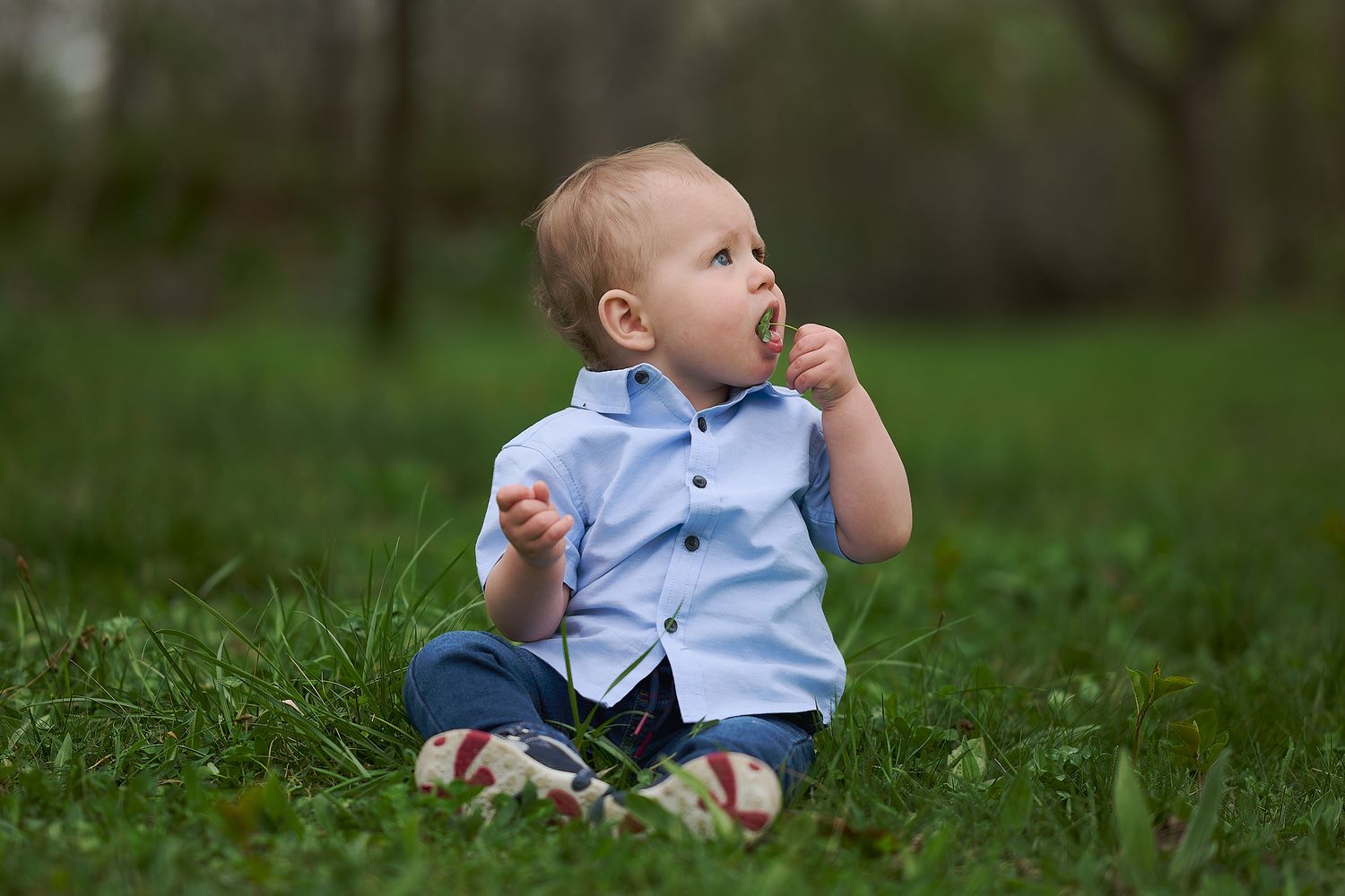 Small child in blue shirt sits thoughtfully on grass while exploring outdoors.