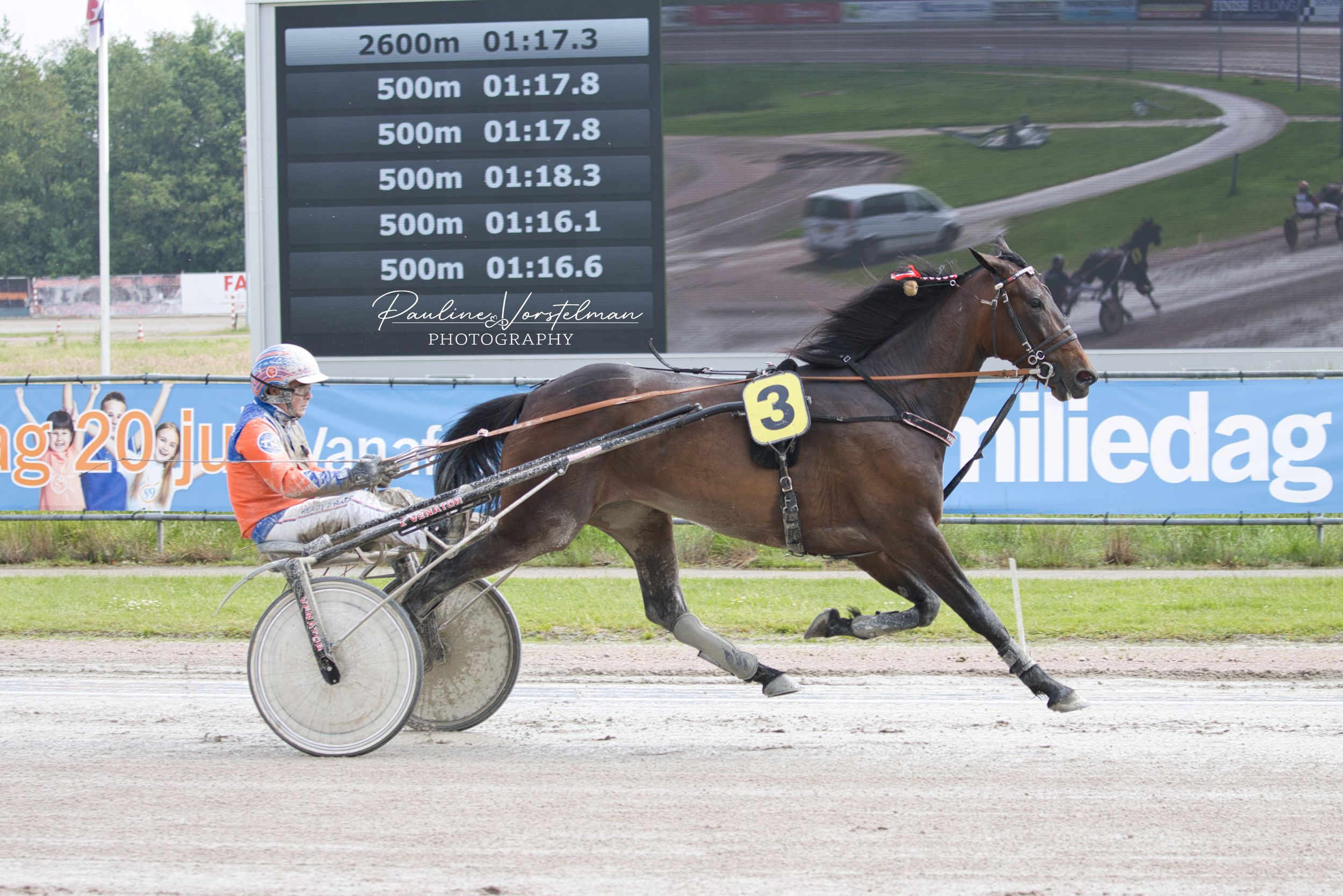 Paard en rijder volledig in hun element tijdens de koerswedstrijd.