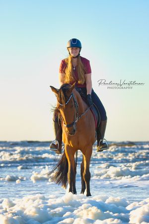 Magisch licht en echte verbinding – jij en je paard bij zonsondergang