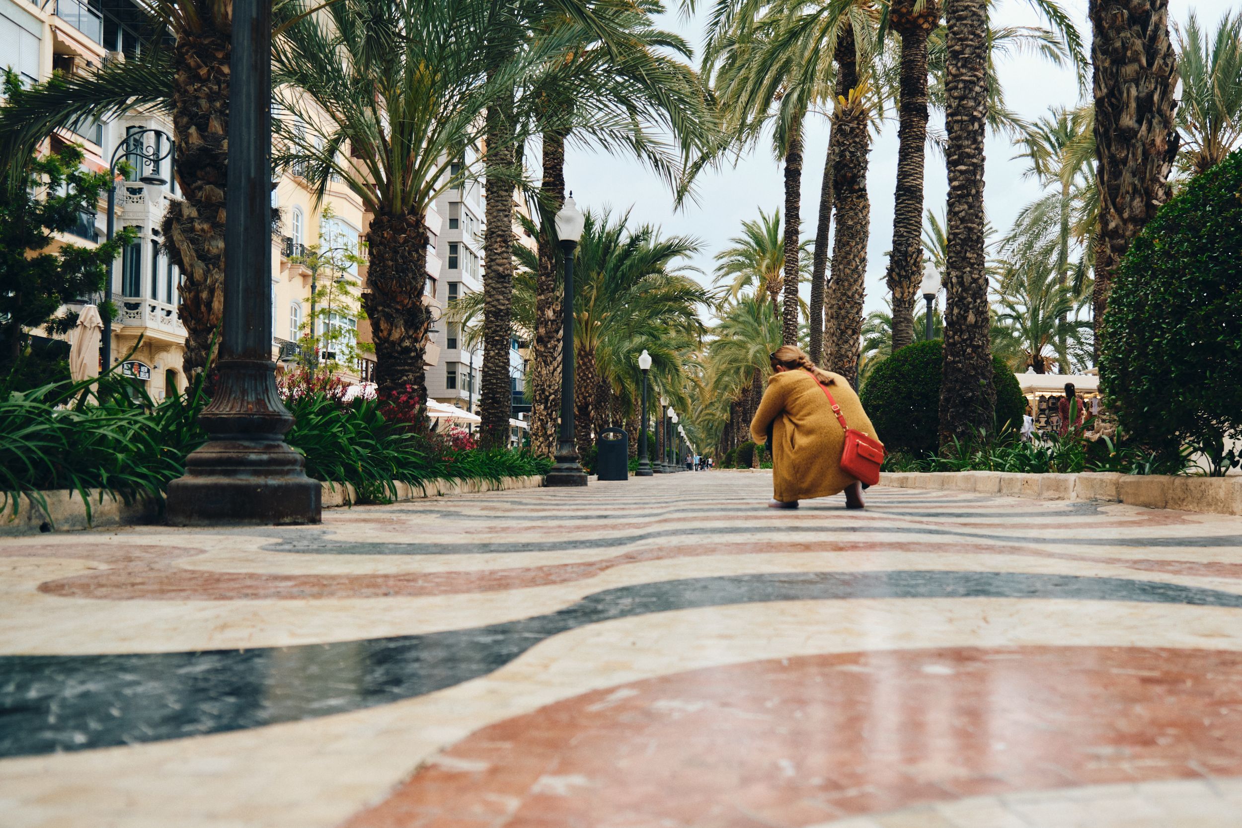 Palm tree lined promenade with decorative patterns on the pavement.