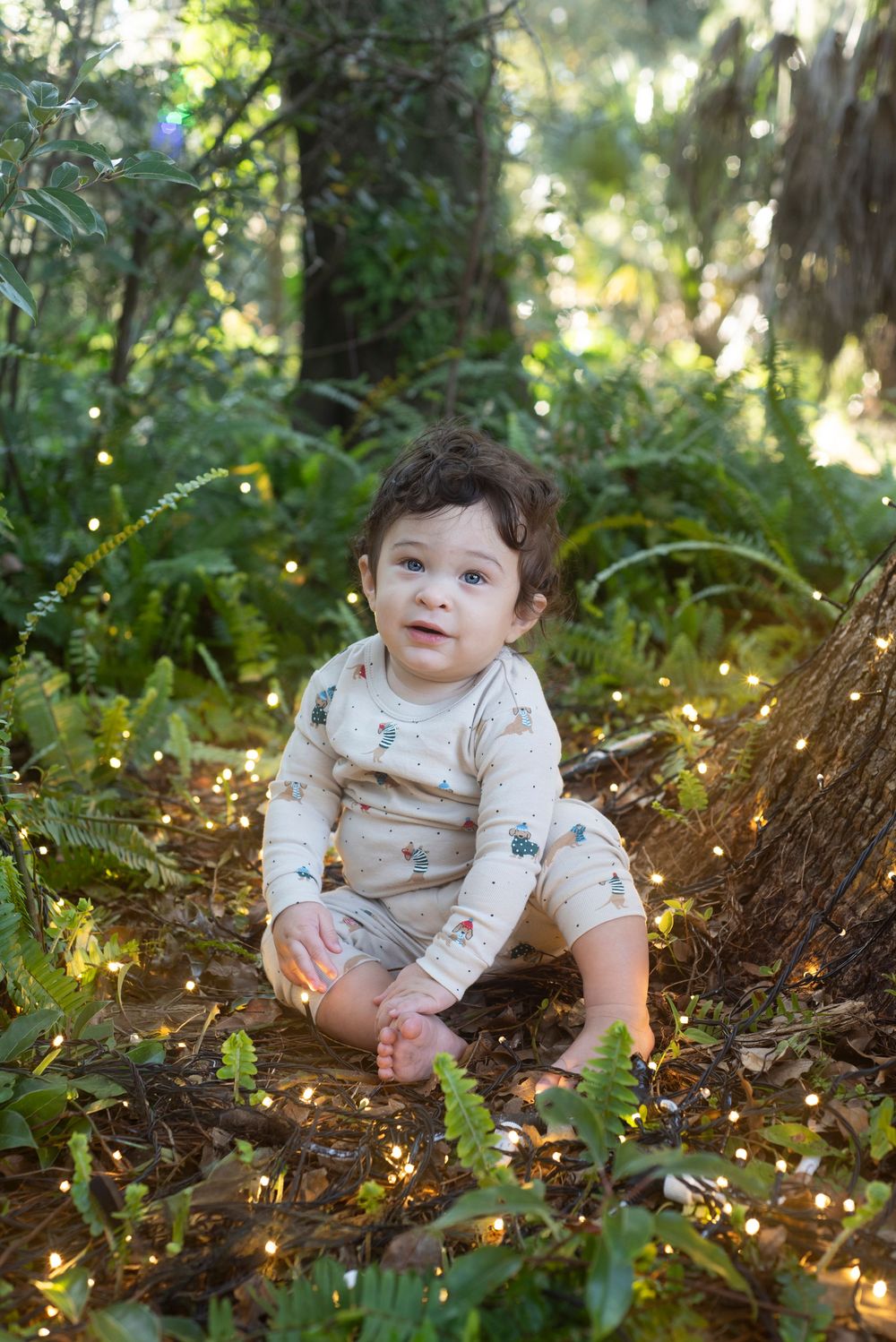 Child/Newborn Christmas light session natural light at Harry Leu Gardens in Orlando Florida