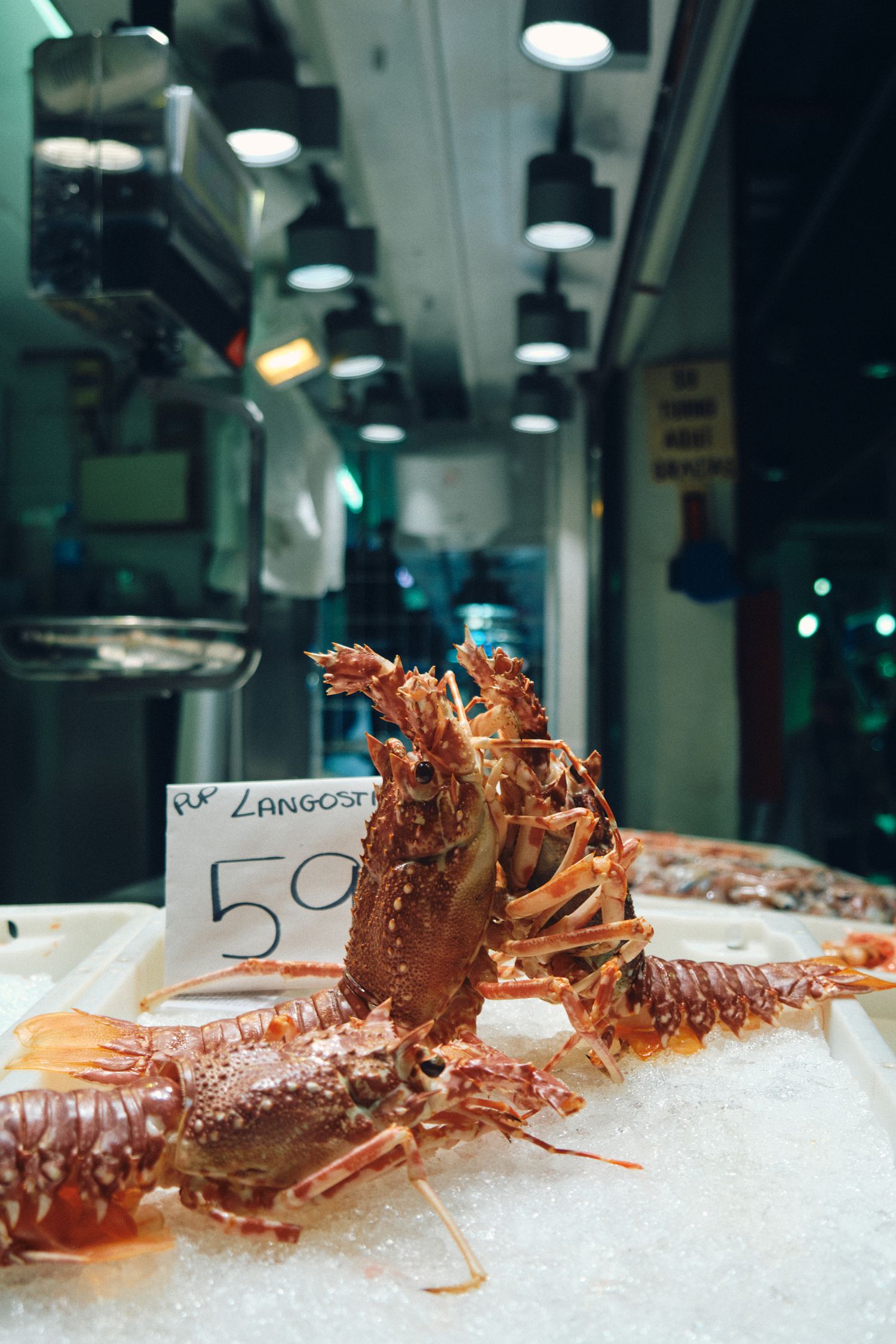 Large red lobster displayed on ice at seafood market with price tag.