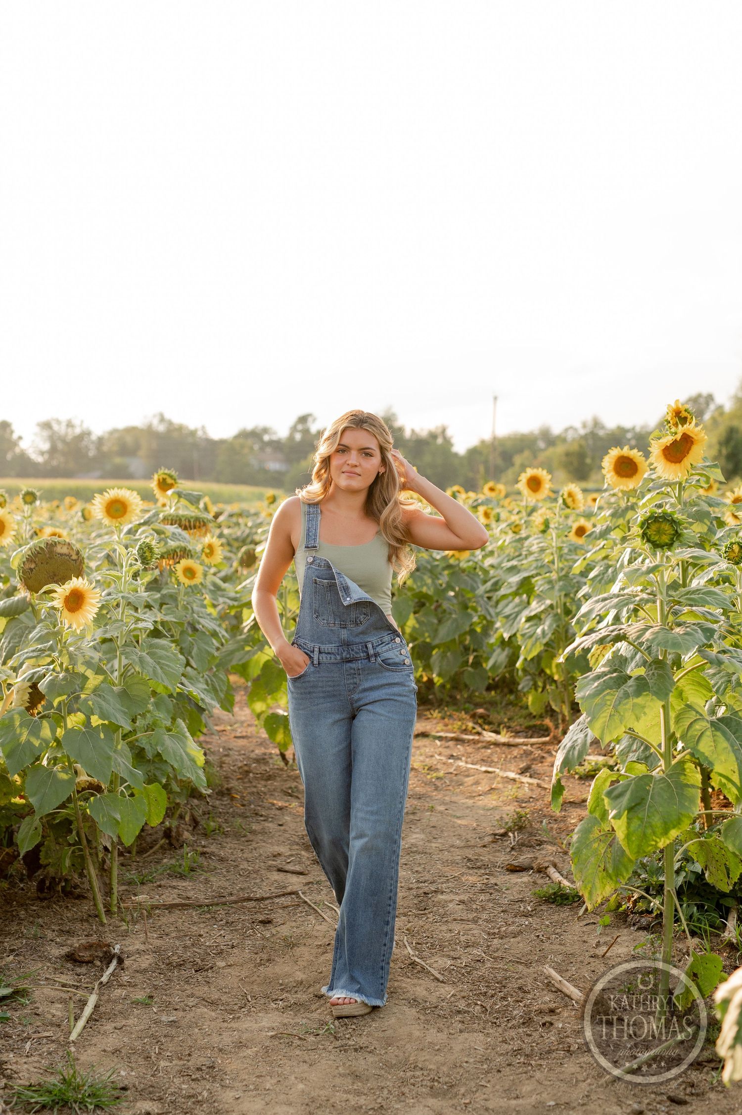 Someone walks along a dirt path between rows of tall sunflowers wearing denim overalls.