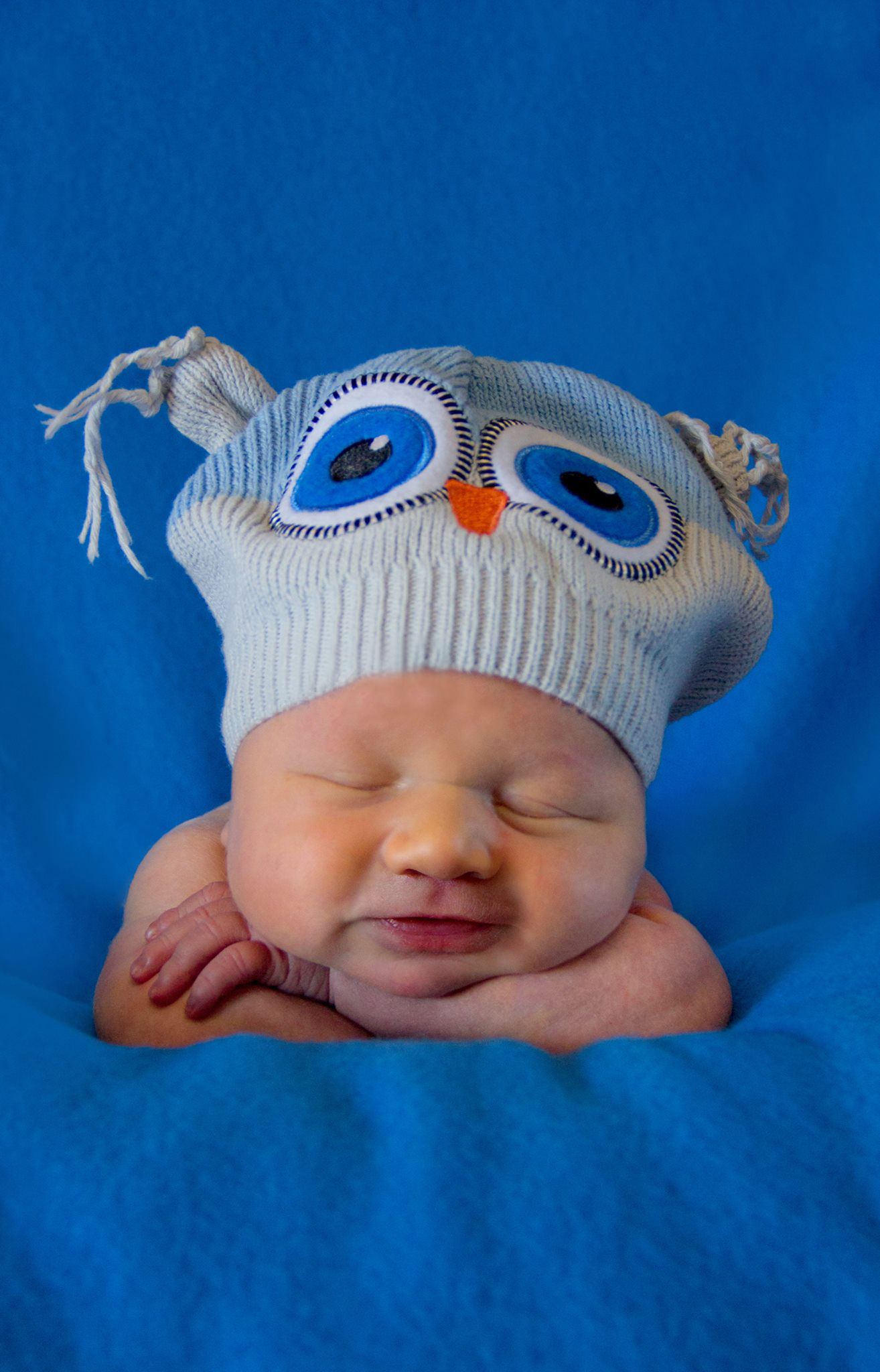 A sleeping newborn wearing a cute owl knit hat on blue background. newborn photography
kid photography
child photography
Portrait photograph