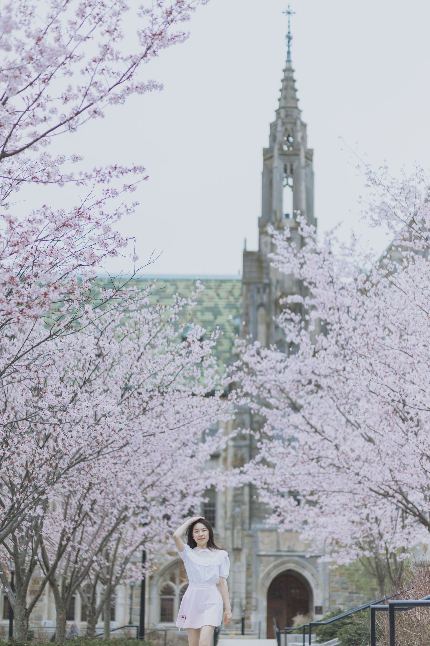 Gothic church spire rises majestically among blooming cherry blossoms on a misty day.