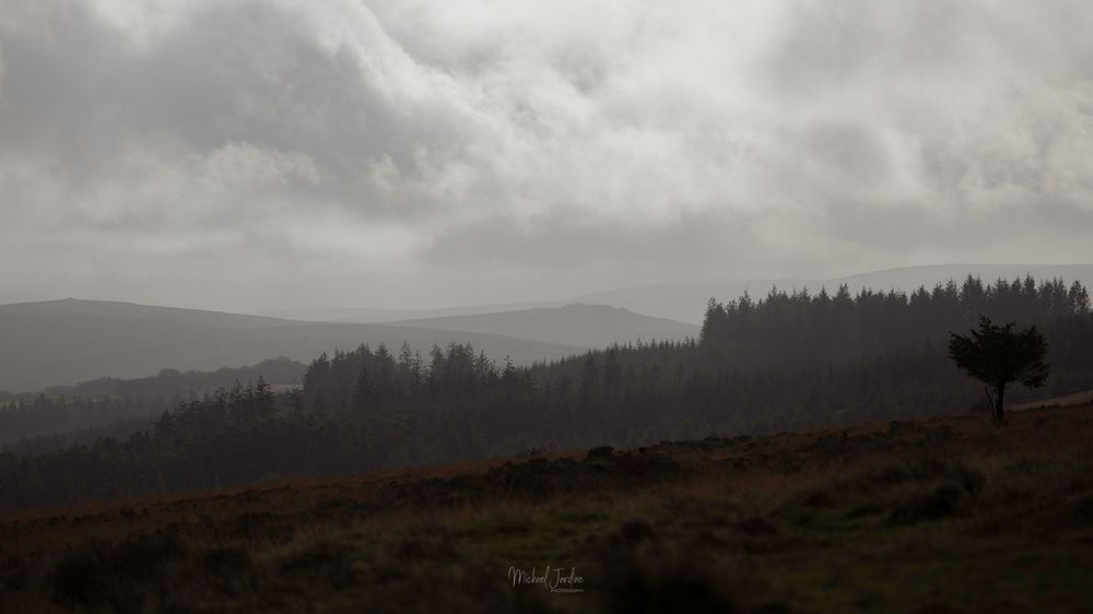 Moody landscape of misty hills and forest under dark cloudy skies in a remote mountainous region.